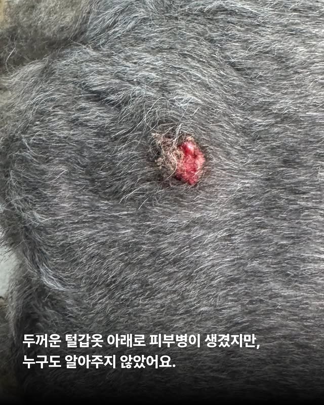 상세 사진 6