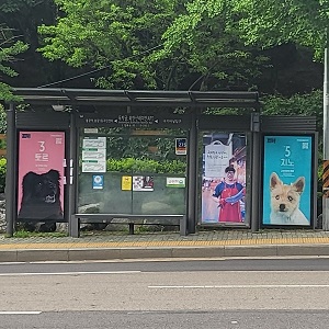 상세 사진 4