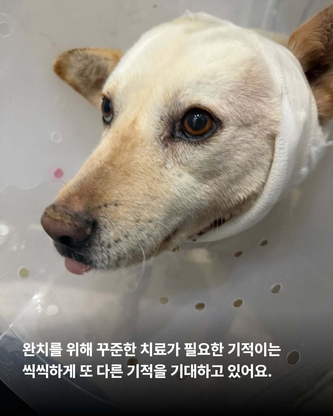 상세 사진 8