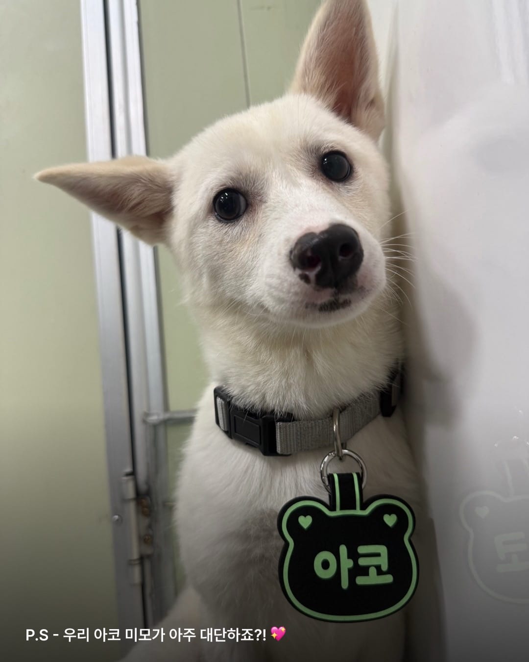 상세 사진 13