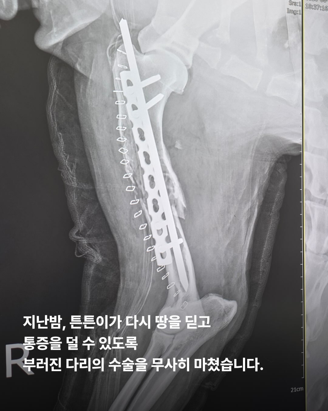 상세 사진 7
