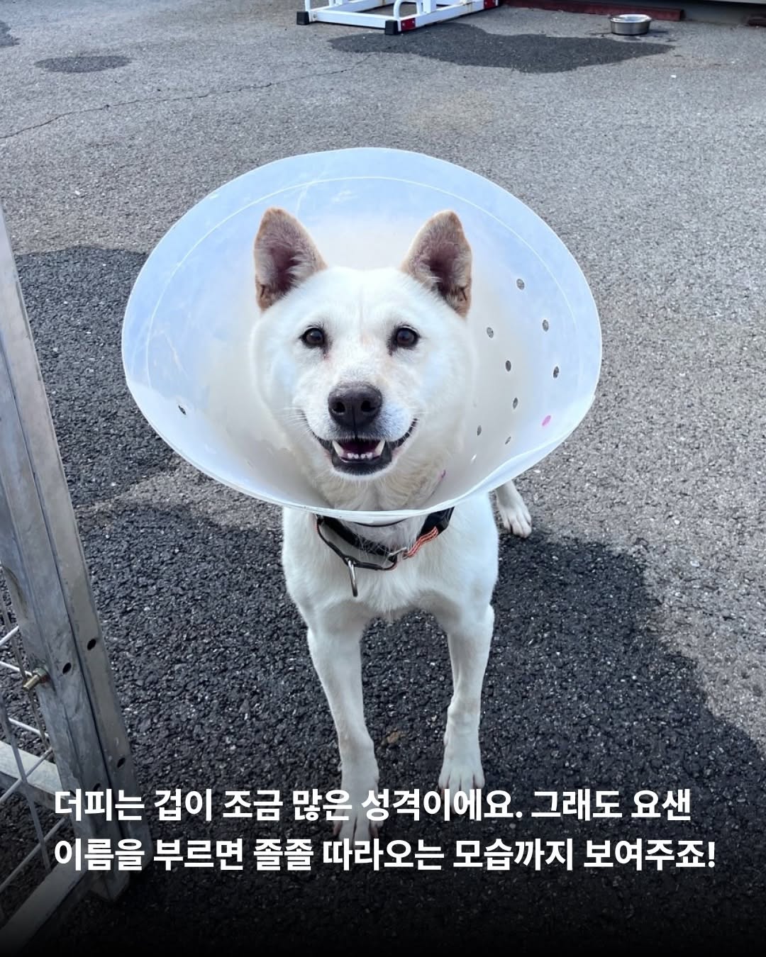 상세 사진 7