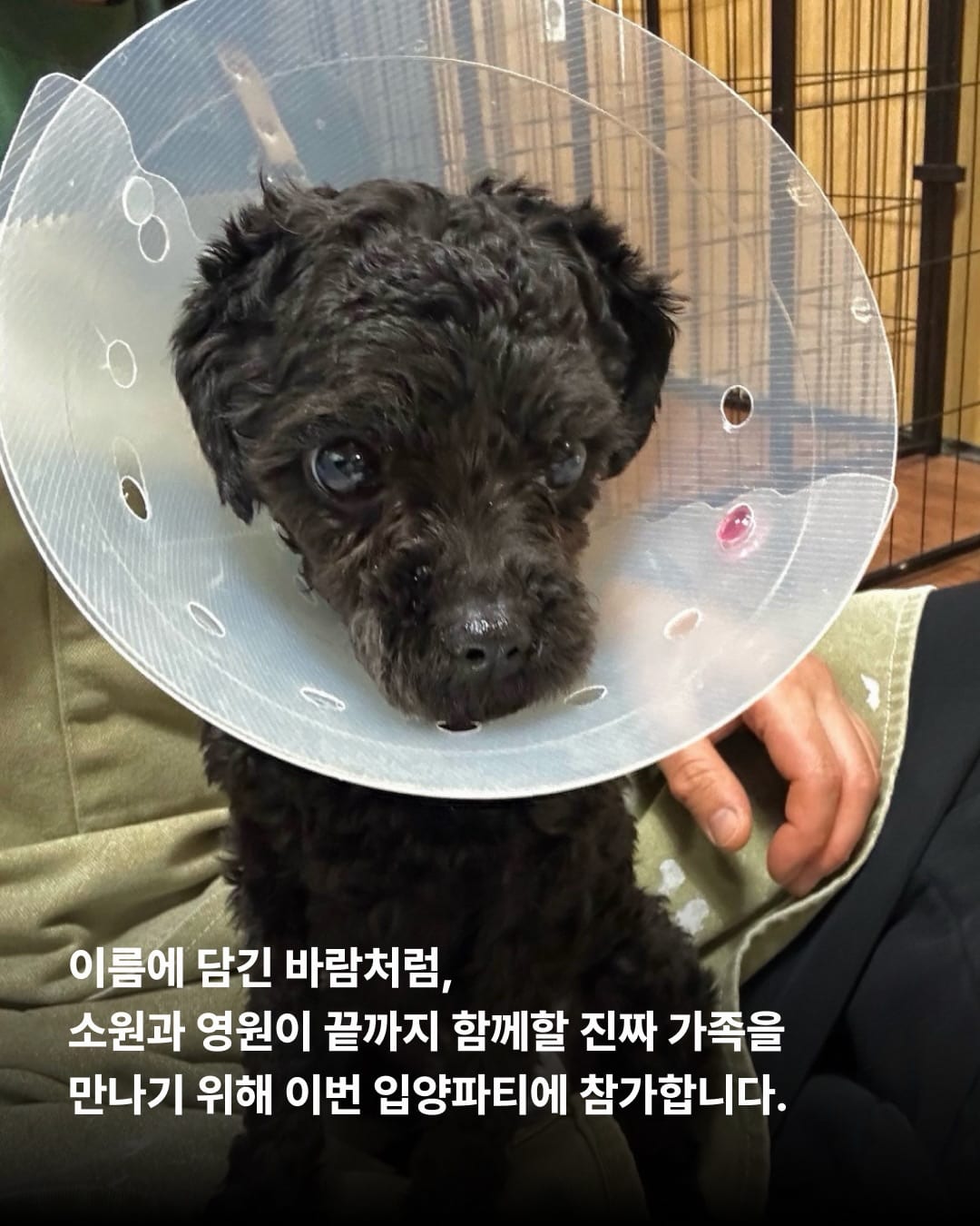 상세 사진 10