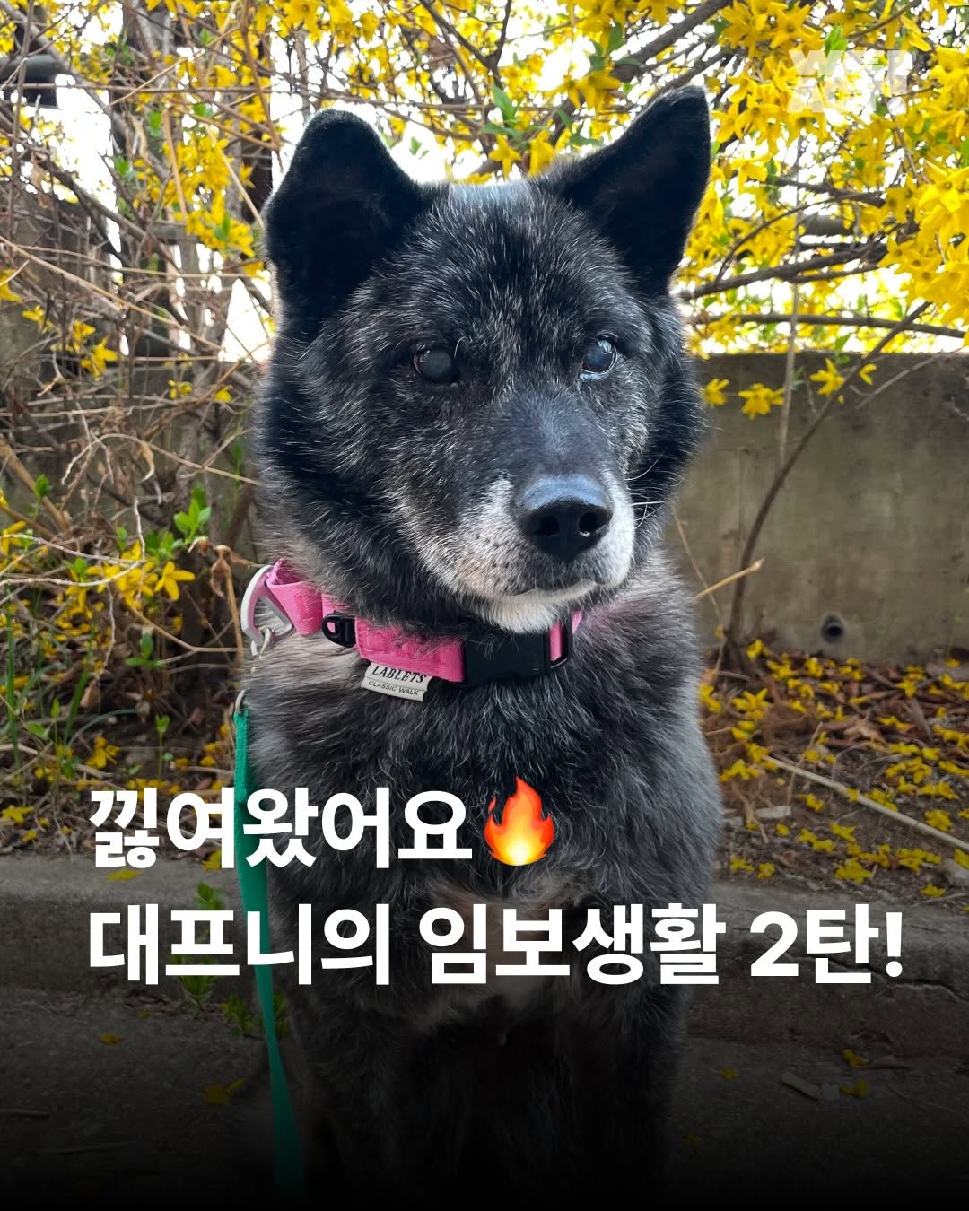 상세 사진 1