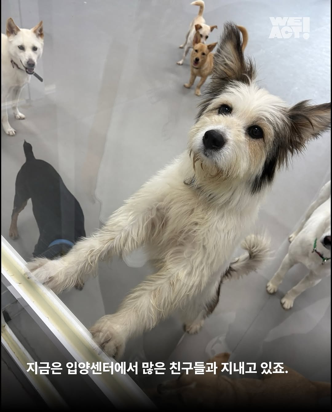 상세 사진 7