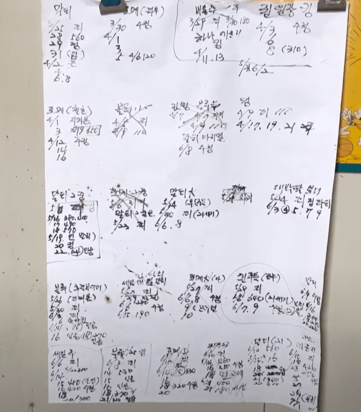 상세 사진 5