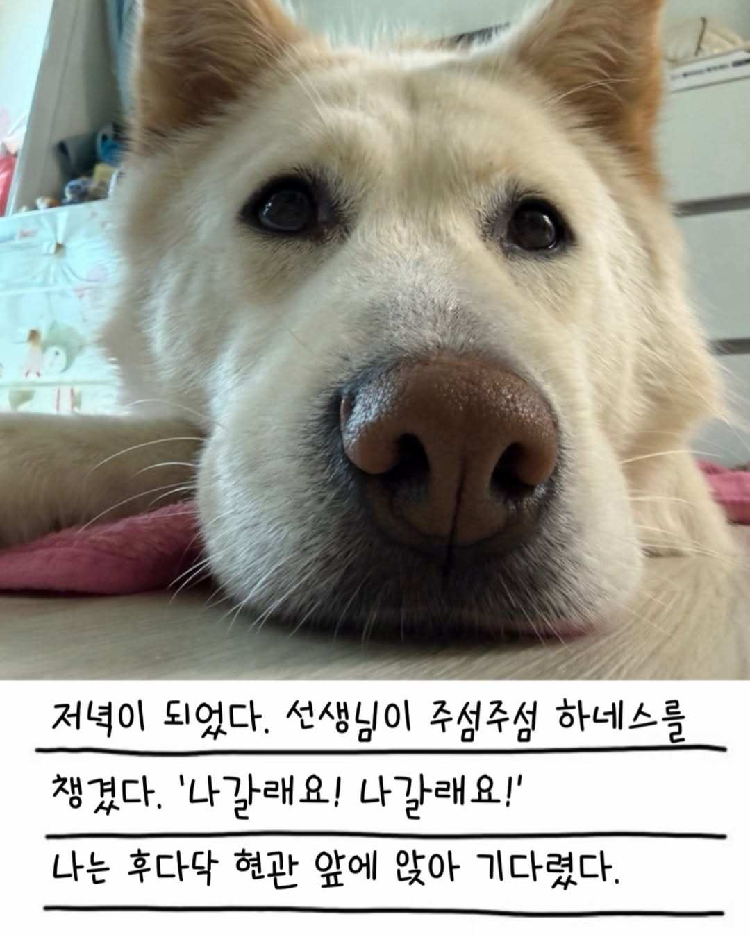 상세 사진 14