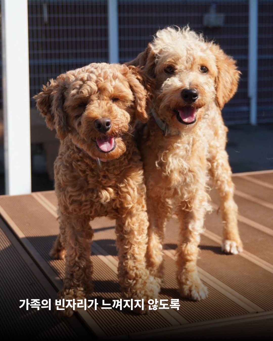 상세 사진 7