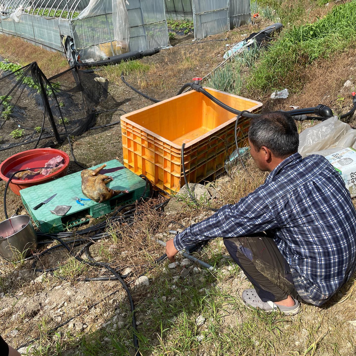 상세 사진 6
