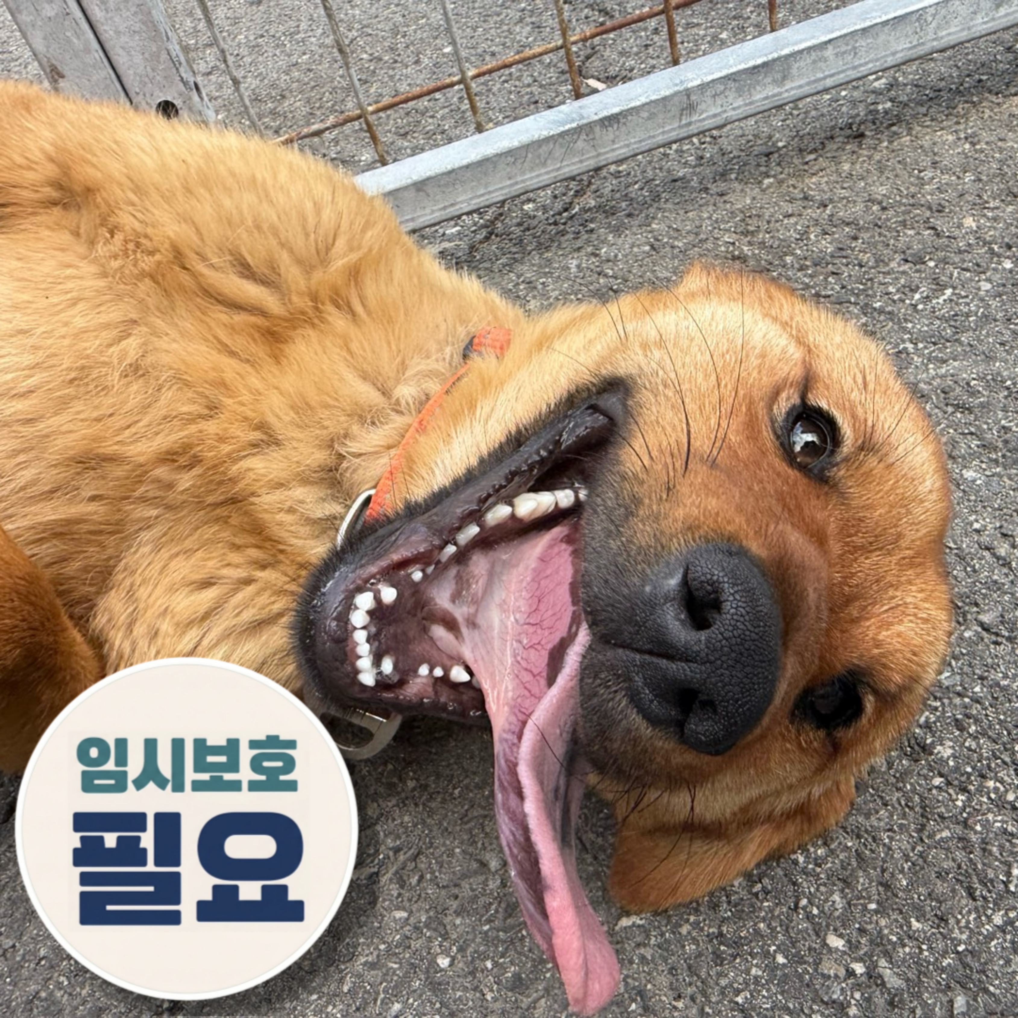 상세 사진 1