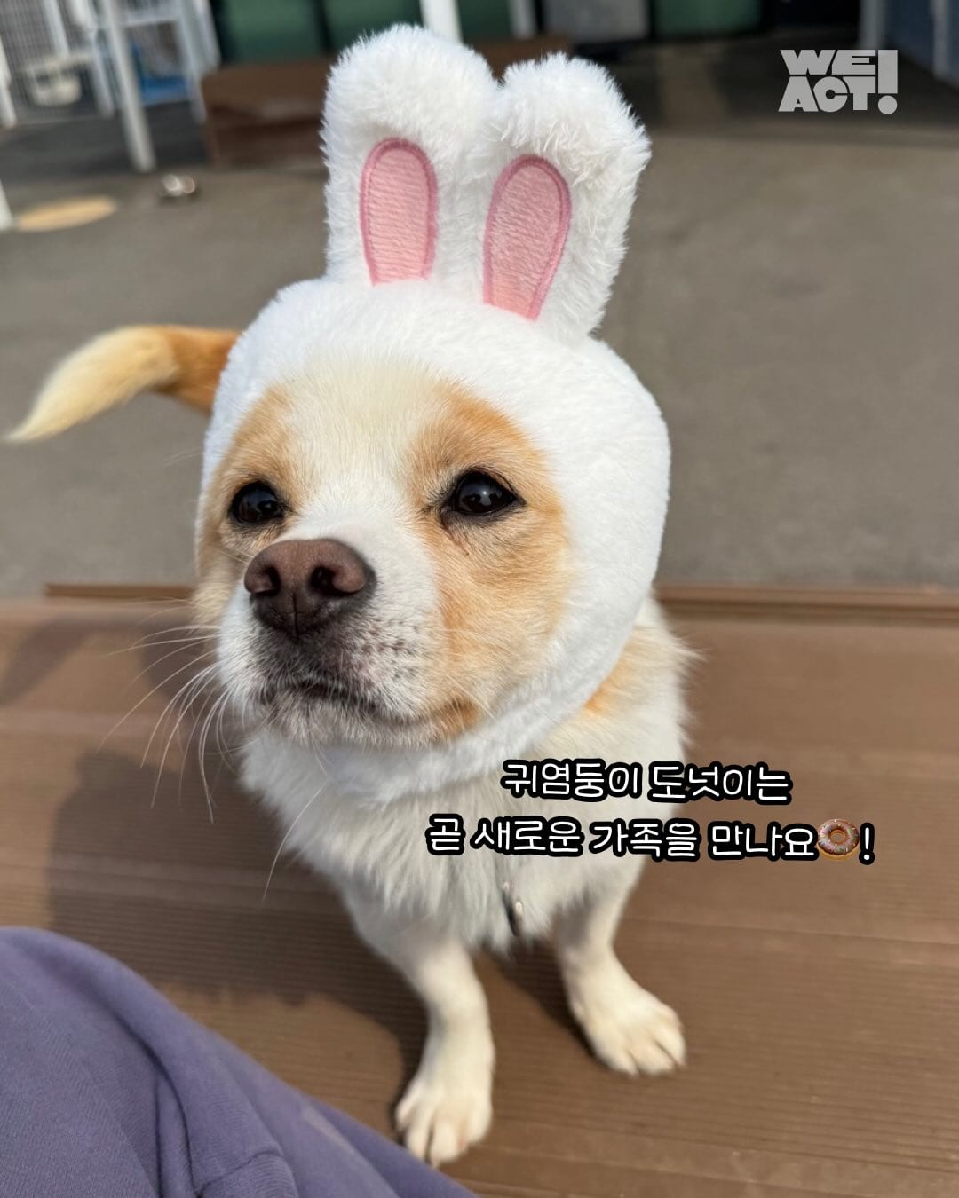 상세 사진 16