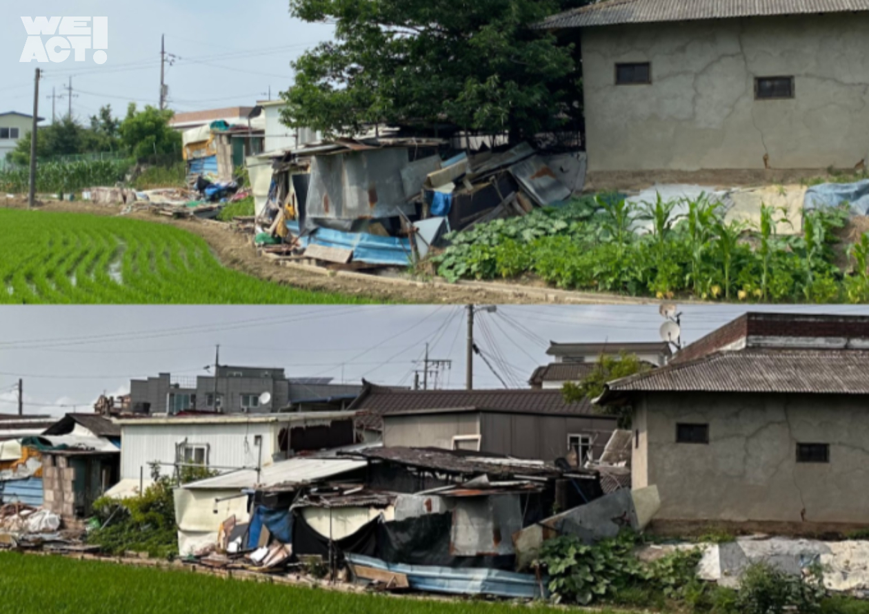 상세 사진 4