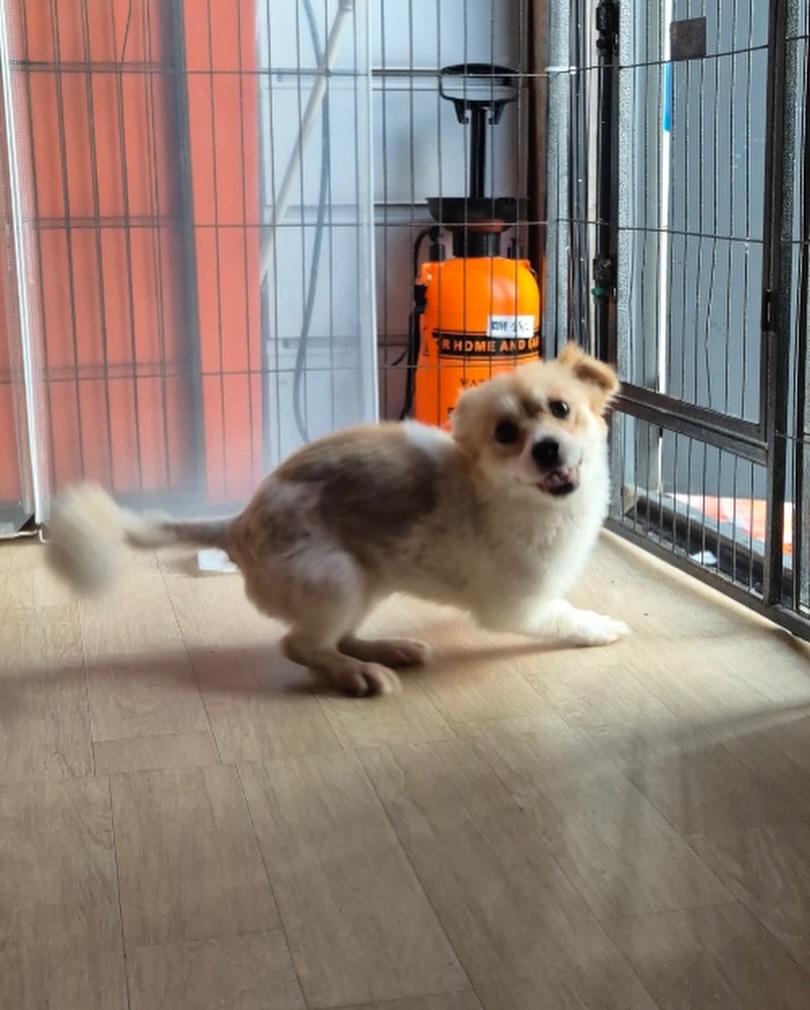 상세 사진 13
