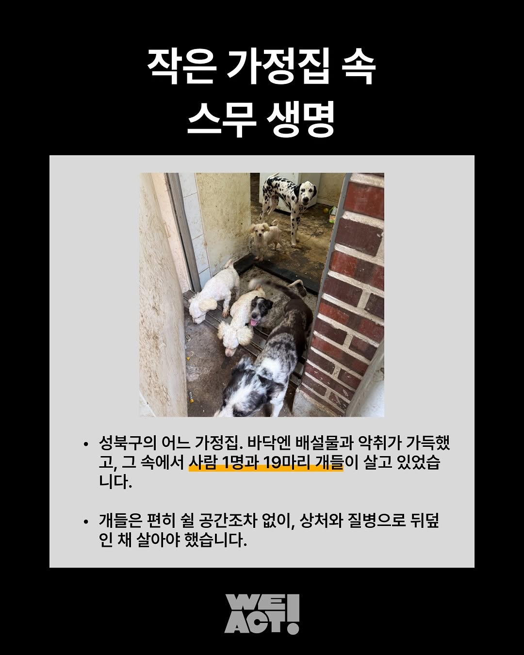 상세 사진 2