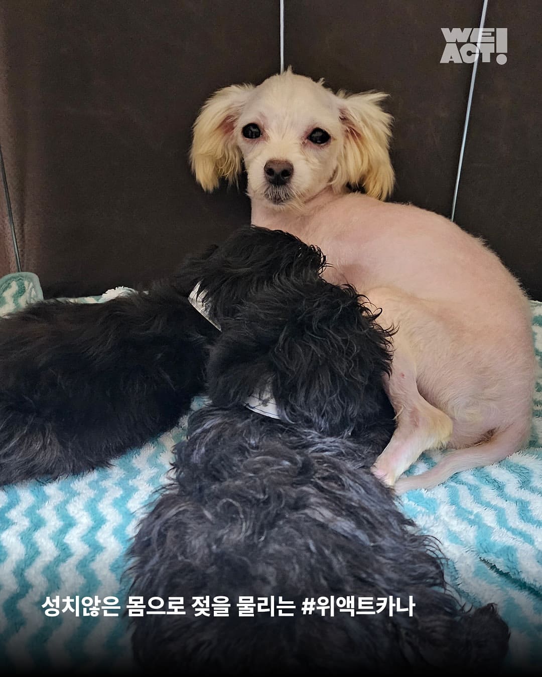 상세 사진 12