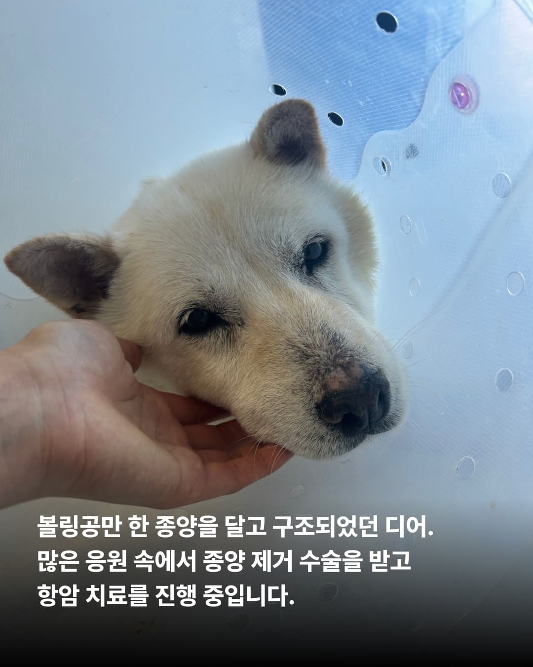 상세 사진 2