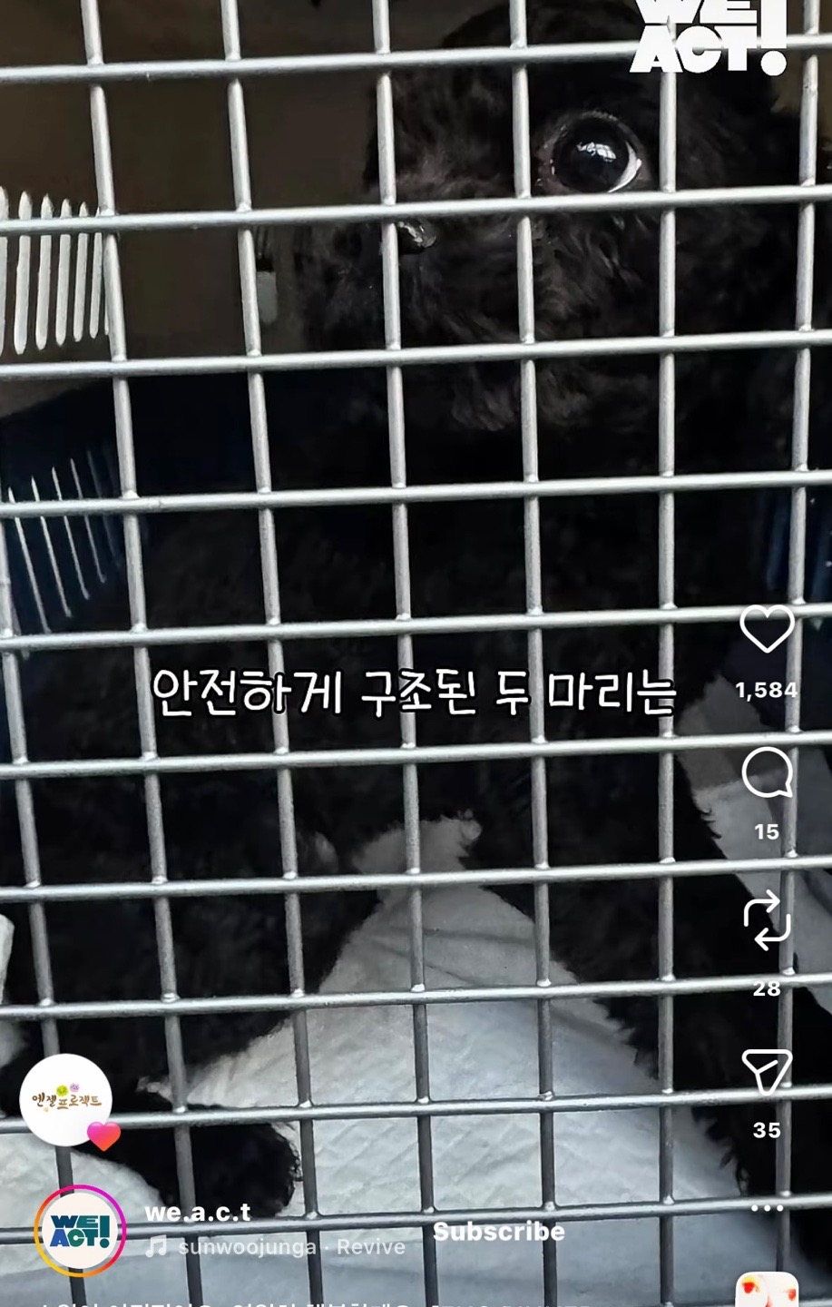 상세 사진 8