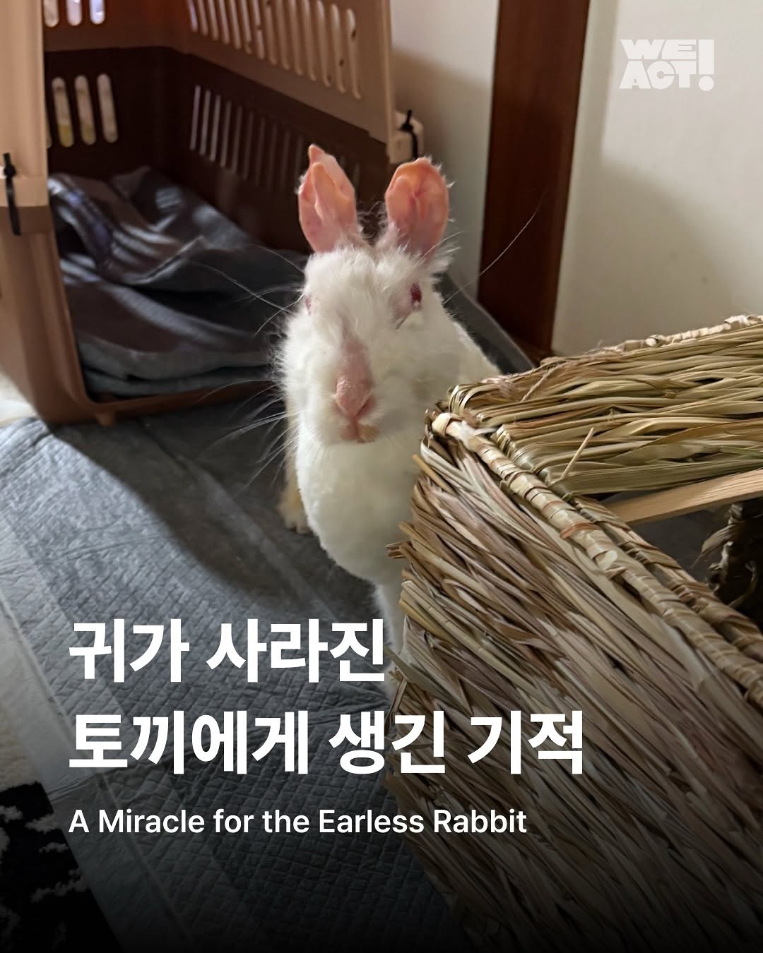 상세 사진 1