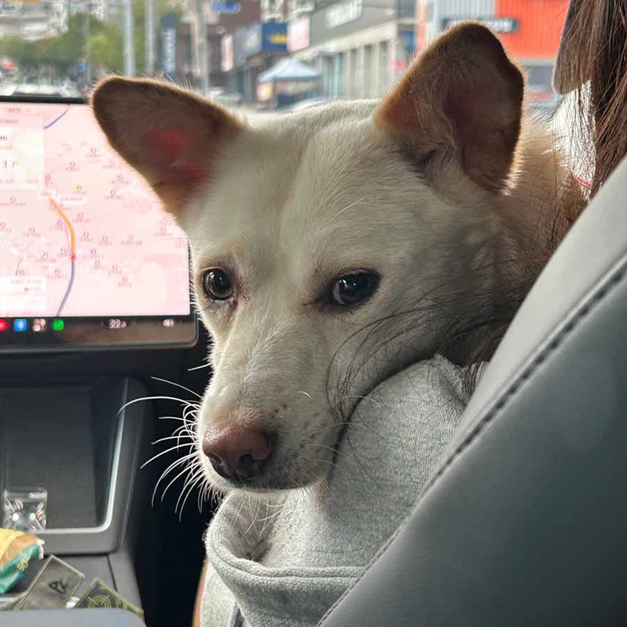 상세 사진 4