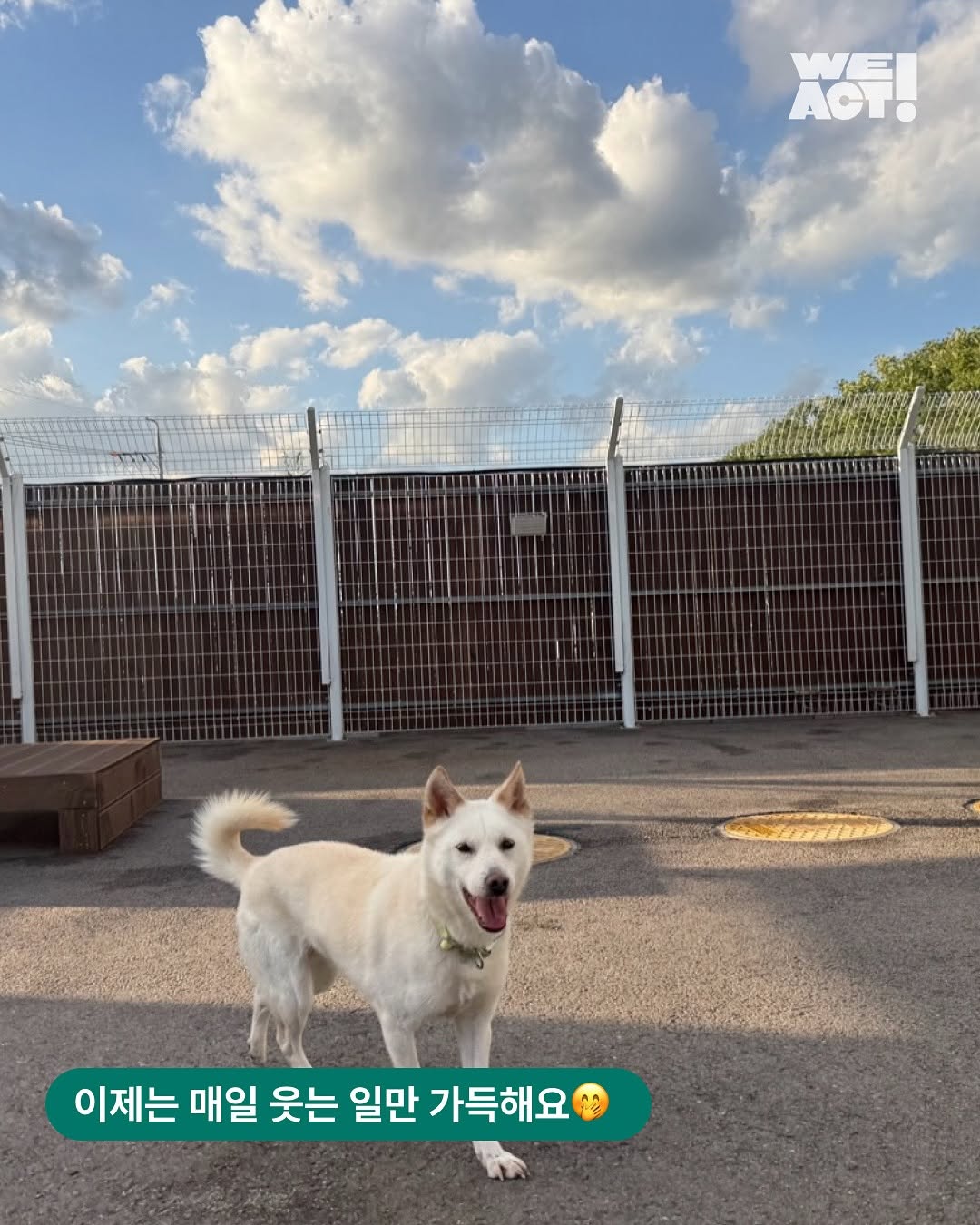 상세 사진 5