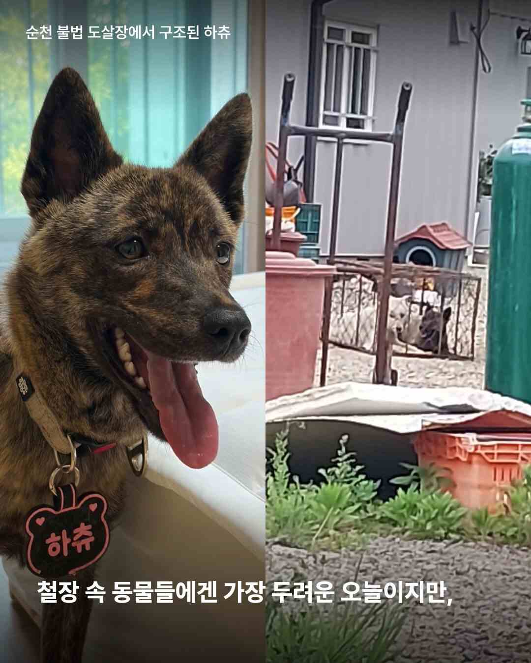 상세 사진 4