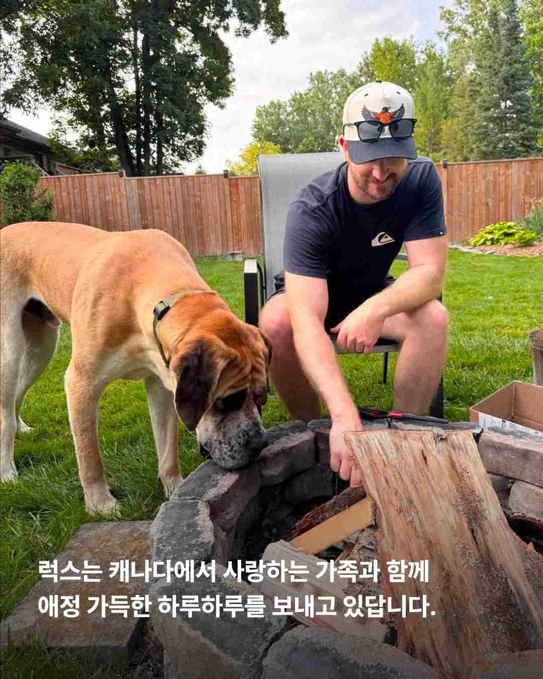 상세 사진 5