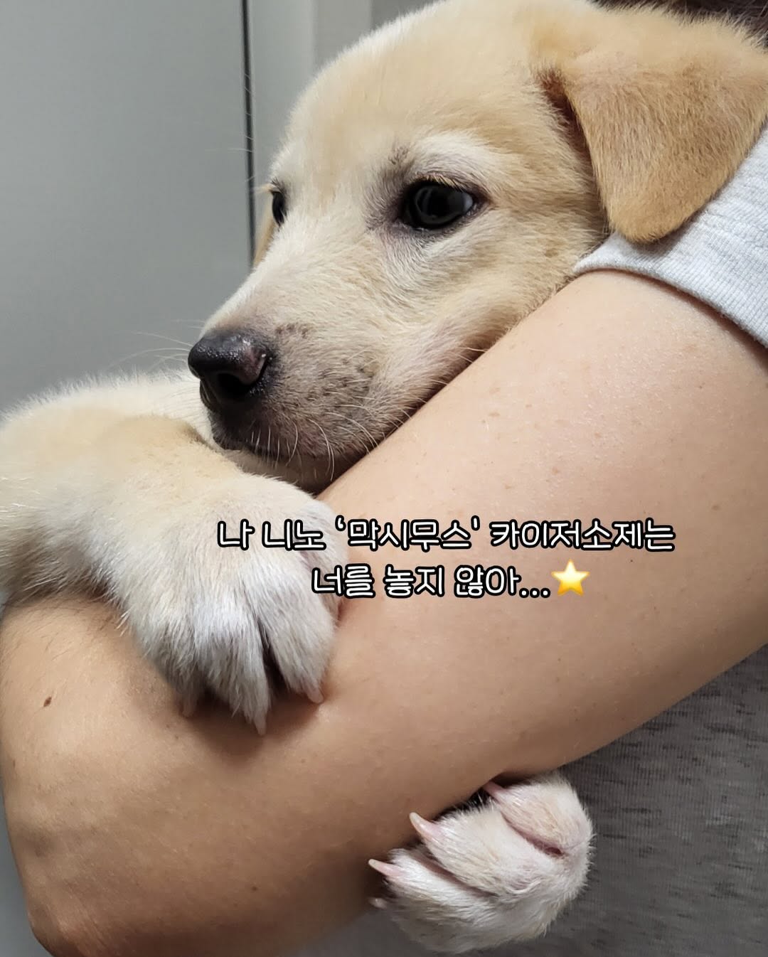 상세 사진 4