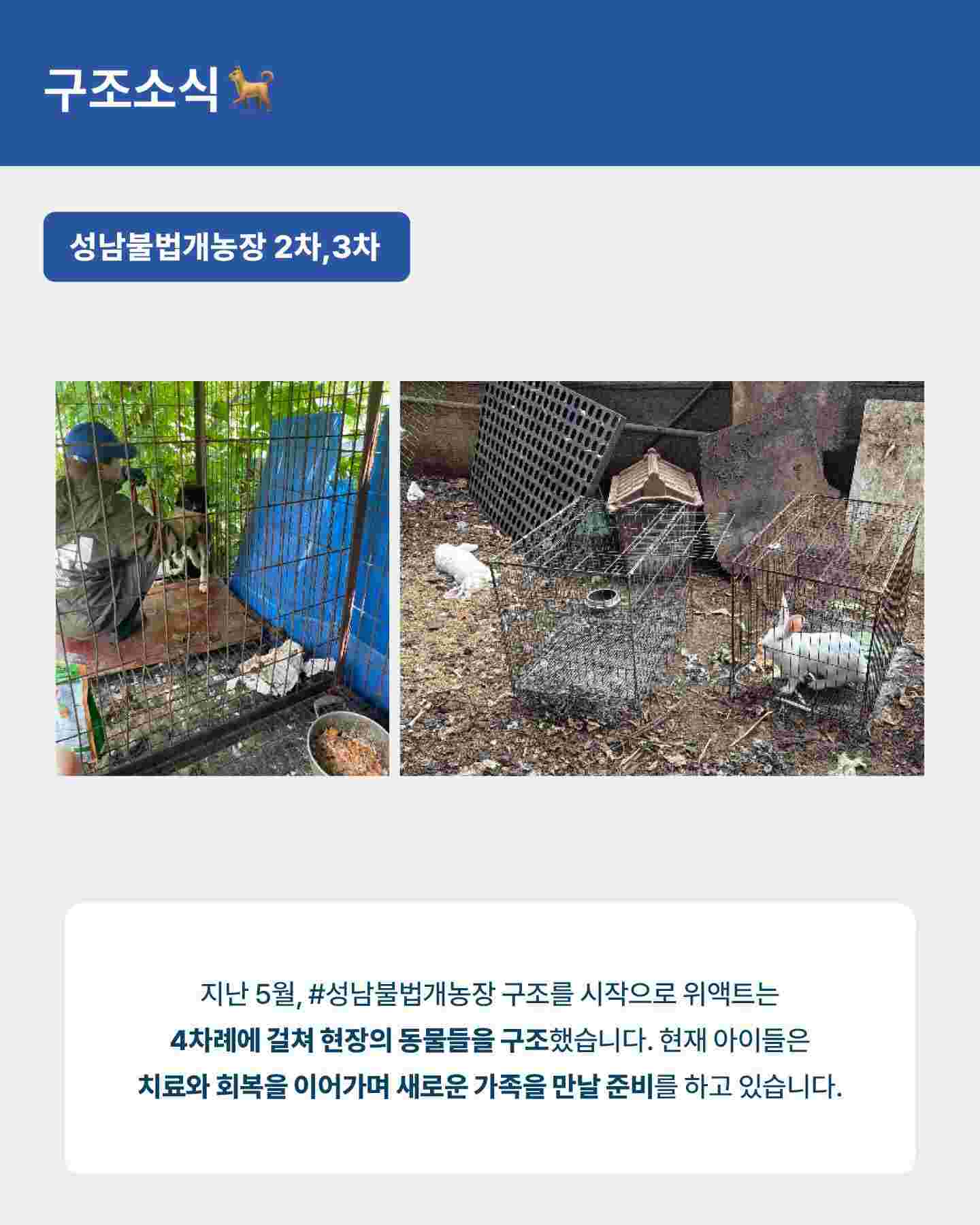 상세 사진 6