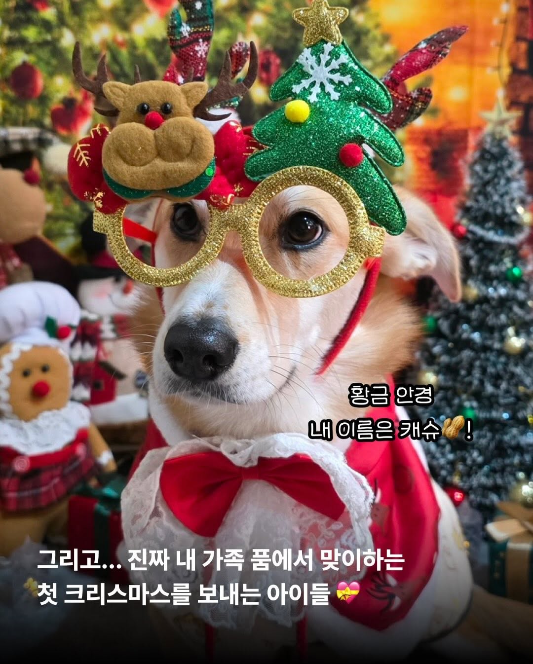 상세 사진 12