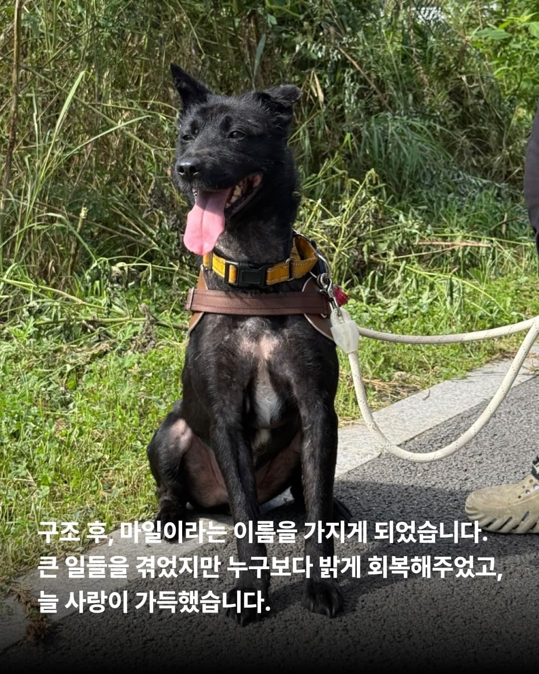 상세 사진 6