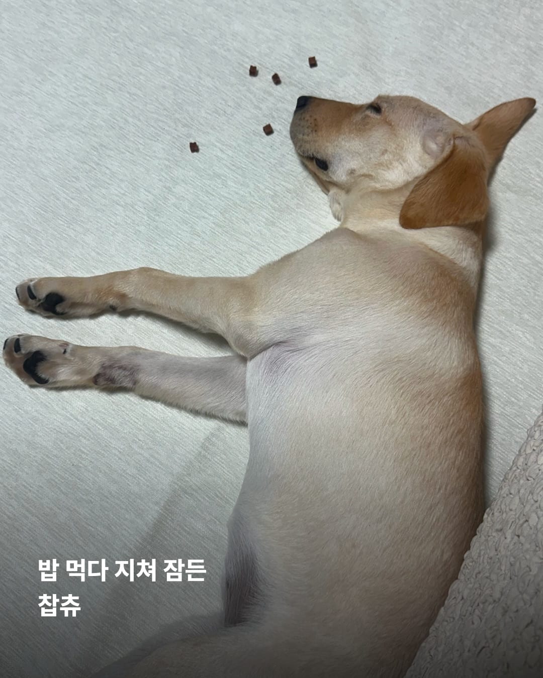 상세 사진 19