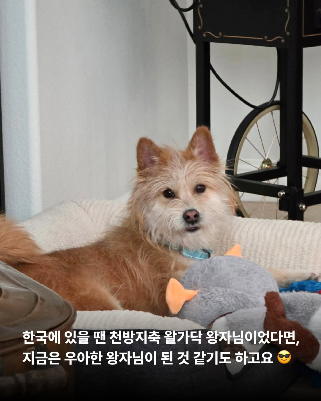 상세 사진 11