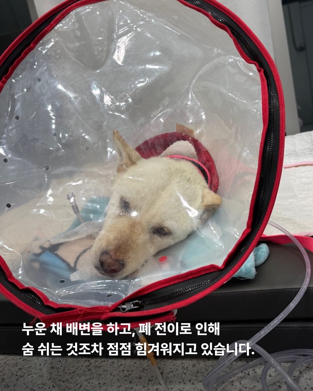 상세 사진 7