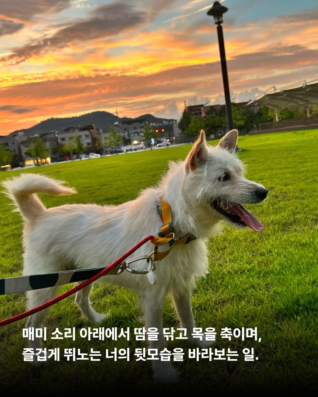 상세 사진 4