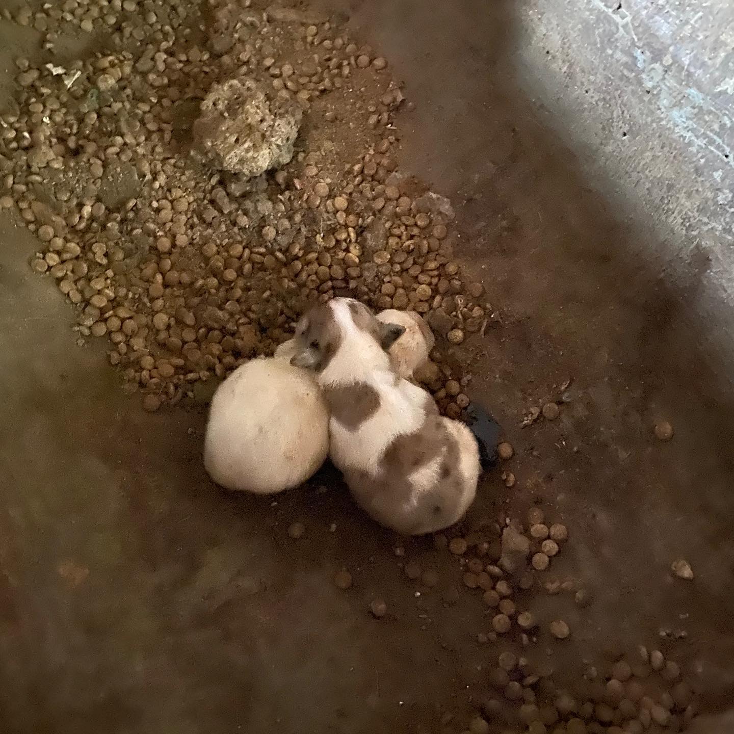 상세 사진 3