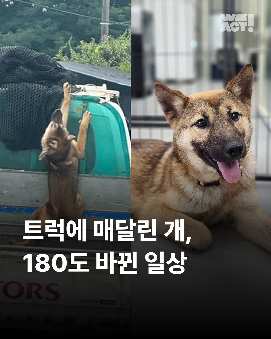 상세 사진 1