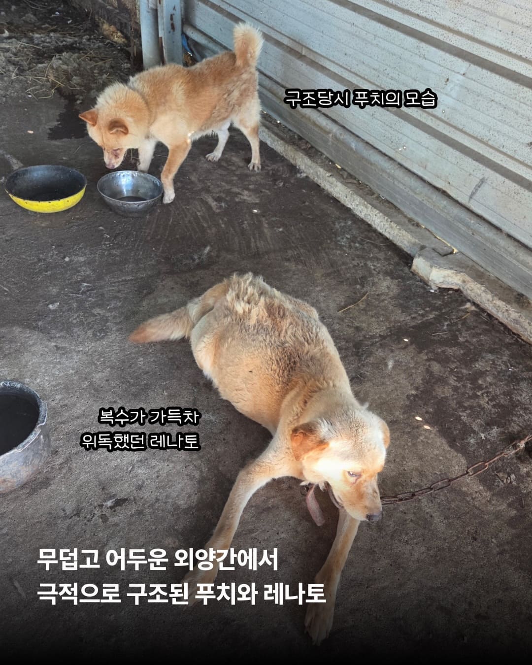 상세 사진 2