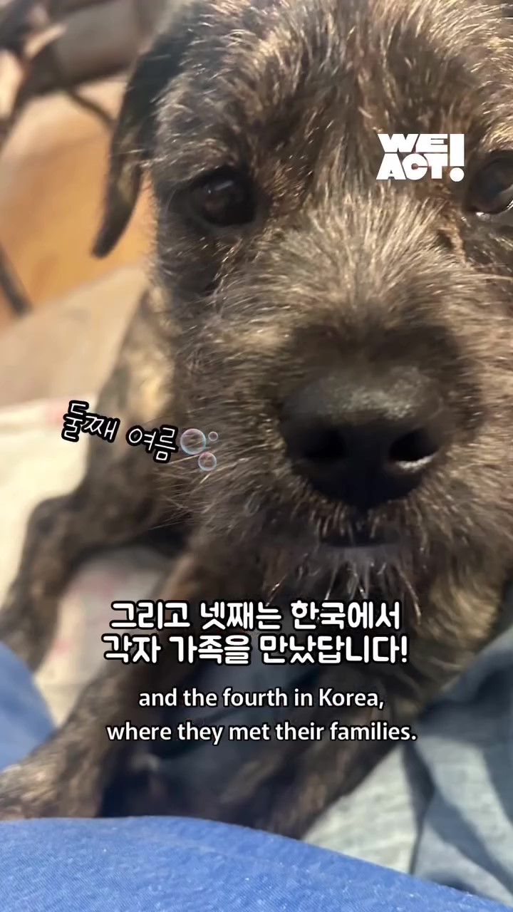 상세 사진 14