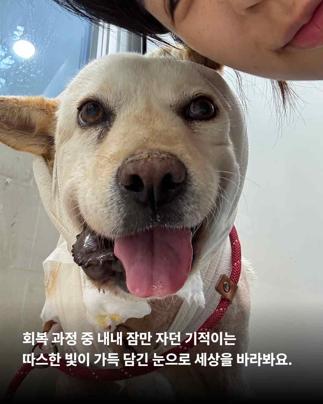 상세 사진 6