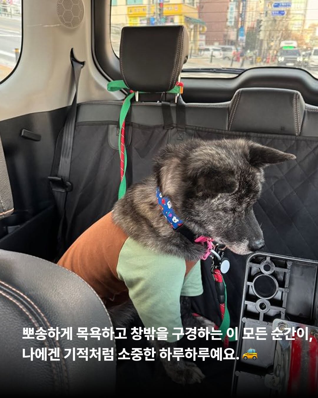 상세 사진 6
