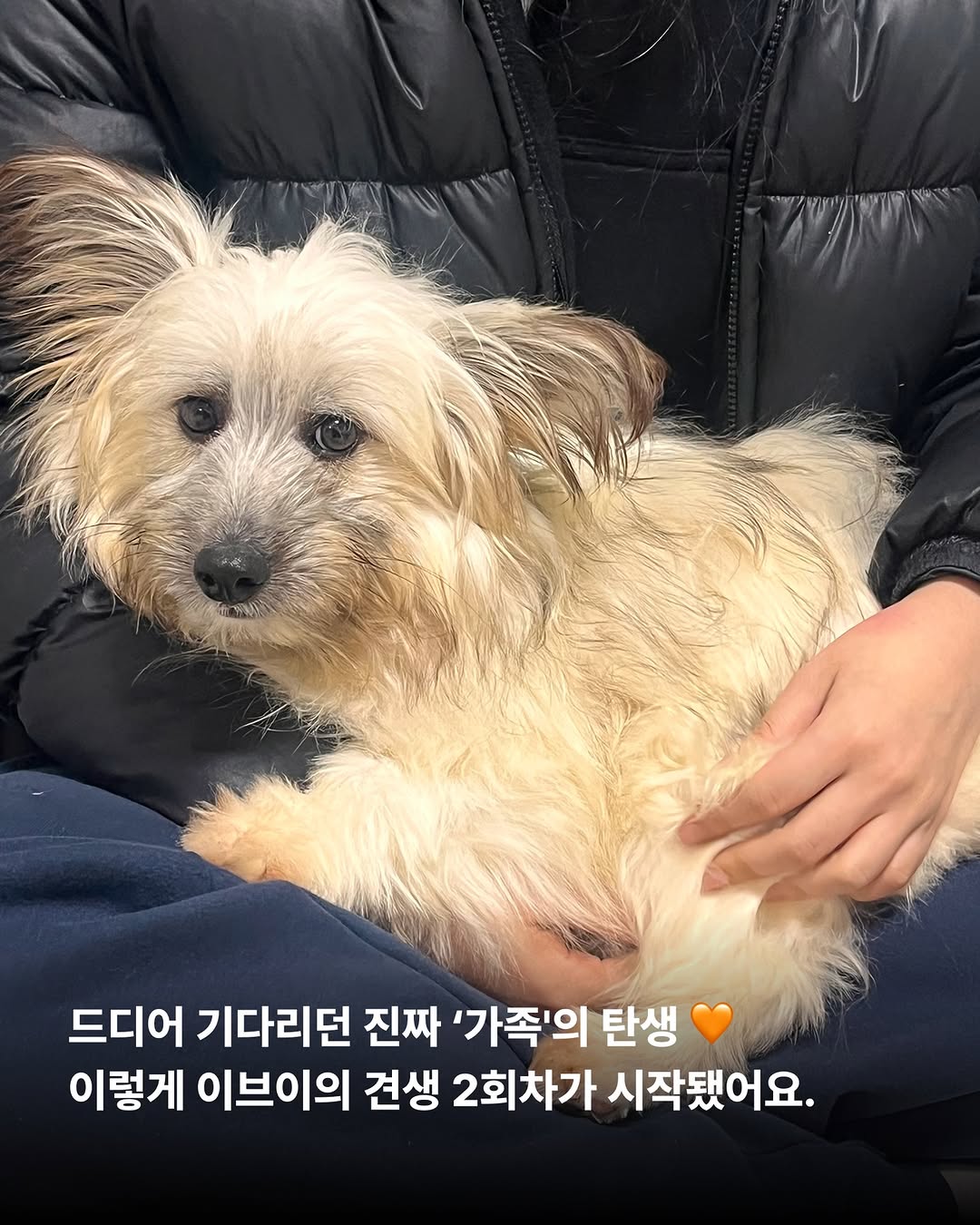 상세 사진 8