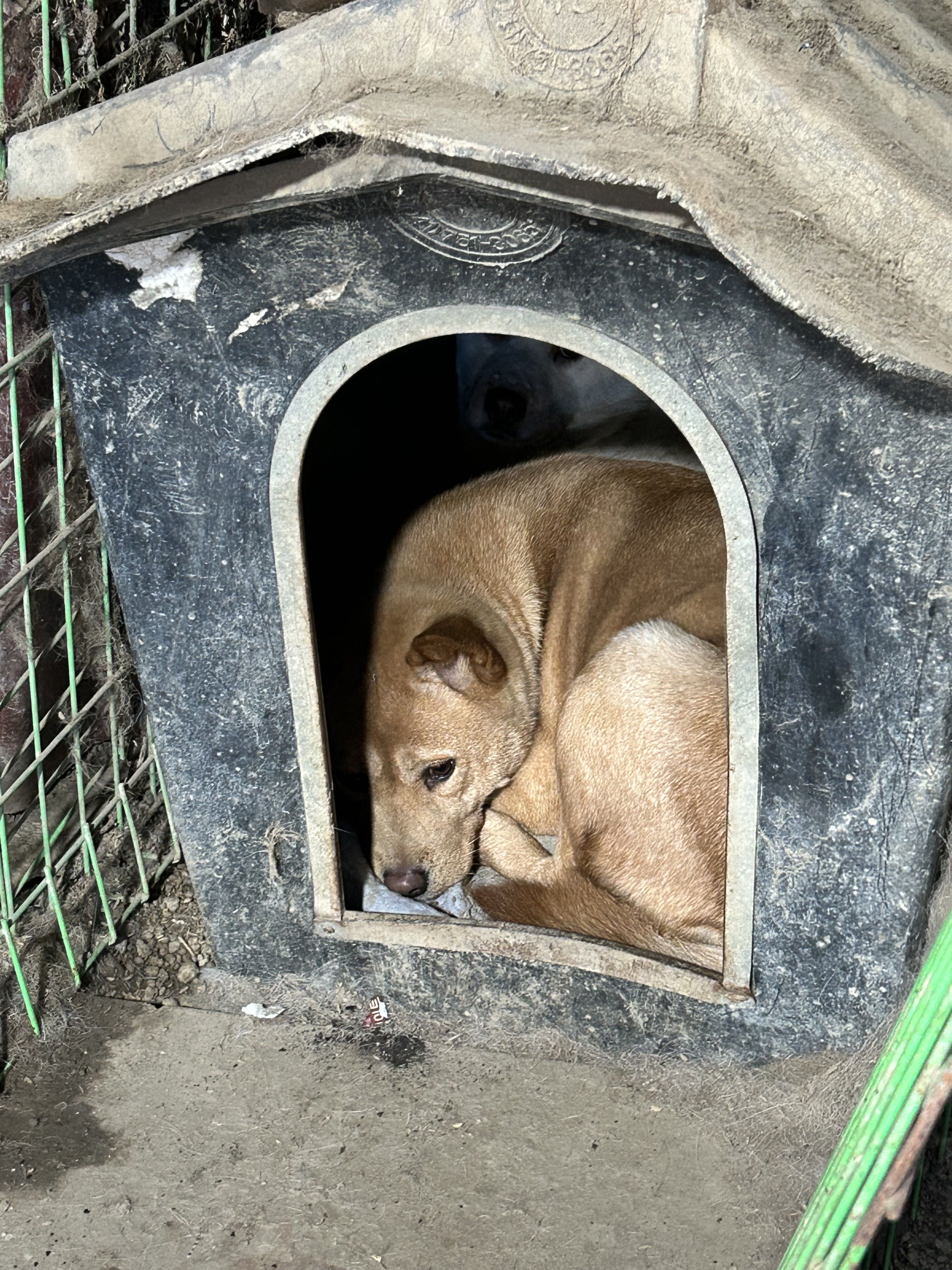 상세 사진 6