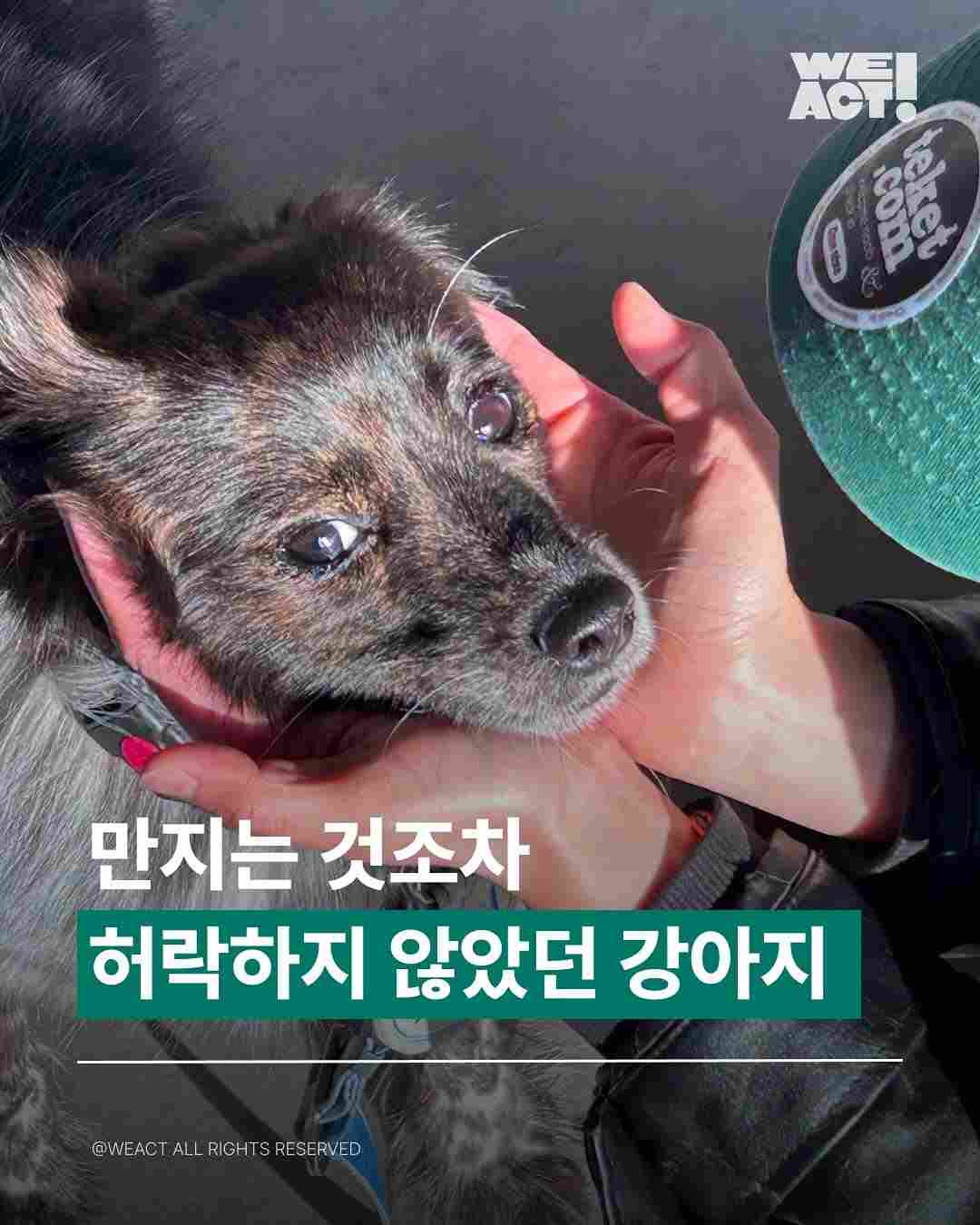 상세 사진 1