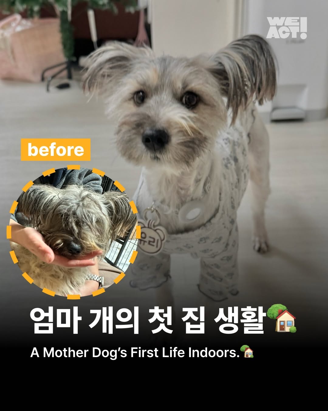 상세 사진 1