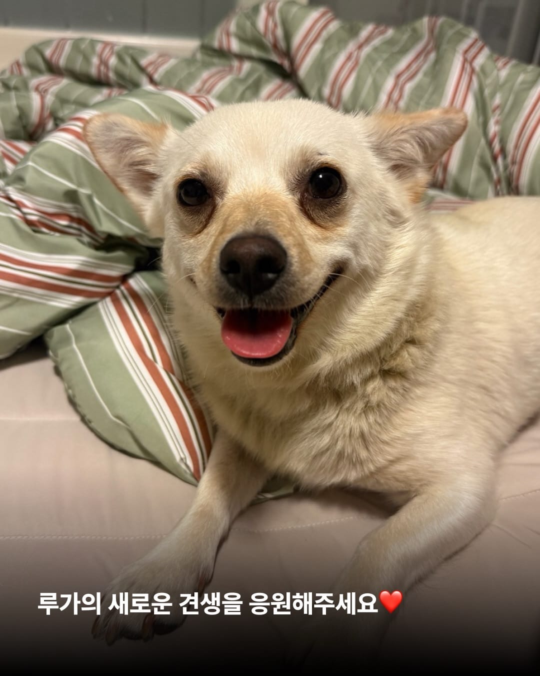 상세 사진 13
